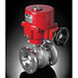 Triac V Ball Control Valve