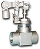 Gade 316 Stainless Steel Float Valve